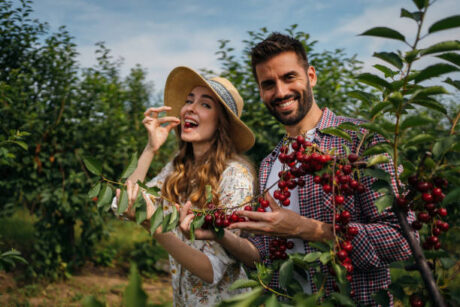 Άρωμα τύπου Lost cherry (191W-U)